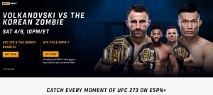 UFC PPV Cost