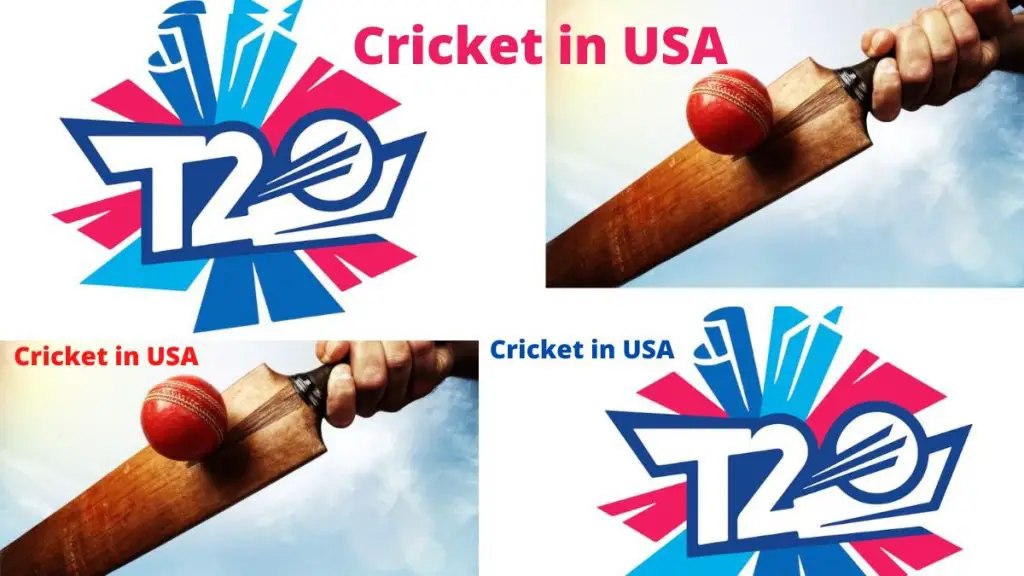 How to watch cricket in USA (Get a 50 discount with Disney Bundle)