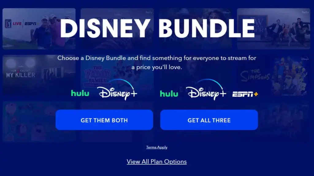 Disney Bundle offer